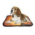 thumbnail image 2 of PKQWTM Halloween Pet Dog Cat Bed Pee Pads Mat Cushion Potty Dogsblankets Crate Bed Kennel 25x30 inch, 2 of 3
