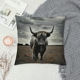 thumbnail image 2 of Orinice Bull Field Clouds Graphic Decorative Throw Pillow Cover for Home Couch Living Room Bed Sofa Zipper Closure Pillow Case 1PC 12x12in, 2 of 5