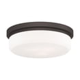 thumbnail image 6 of Livex Lighting Ceiling Mount or Wall Mount, 6 of 11