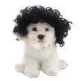 thumbnail image 1 of Peluca Cospaly para perro, peluca de pelo para disfraz de perro y gato, 1 of 4