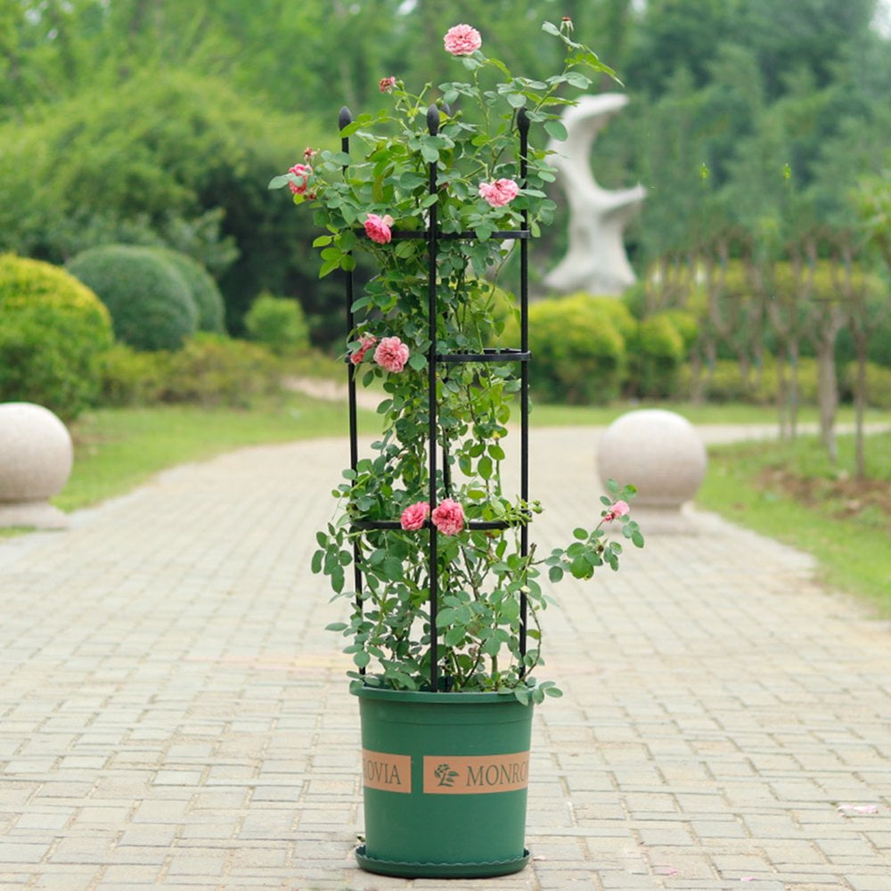 3 Pcs Support De Plantes De Jardin Pour Plantes Grimpantes Treillis En Plastique Mini Support De Plantes Grimpantes Cadre De Support De Plantes Intérieur Piquets De Support De Tomates