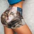 thumbnail image 4 of Fotbe Playful Cat Seamless Shorts, Womens Workout Shorts High Waist Stretch Booty Short for Gym/Yoga/Running/Biking-, 4 of 9