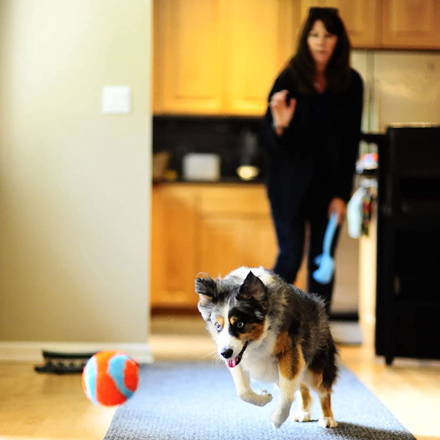 Chuckit! INDOOR FETCH TOYS Dog & Puppy Soft Interactive Play ROLLER BALL 2 PACK