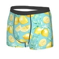 thumbnail image 2 of Bingfone Yellow Lemon Men'S Underwear - Casual Stretch Boxer Briefs-Small, 2 of 9