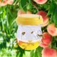thumbnail image 3 of Trap Hornet Outdoor Wasp Fruit Flies Reutilizable Garden Hanging Bee Catcher (B), 3 of 4