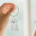 thumbnail image 4 of Porte-clés Commémoratif pour Poils d'Animaux, Bouteille de Rangement Transparente pour Souvenirs de Chiot, Idée d'Accessoire Unique pour Animaux, 4 of 4