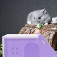 thumbnail image 1 of unbranded 2Ud Villa Para Hamster Color Que Ofrecen Espacio Cómodo Y Estilo Decorativo, 1 of 8