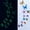 Multi-color, variant on Wall Decor 12Pcs Luminous Butterfly Design Decal Art Wall Stickers Room Magnetic Decor Mr, Household Stickers