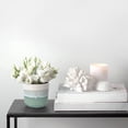 thumbnail image 2 of 8" Ombre Diamond Pot, 2 of 2