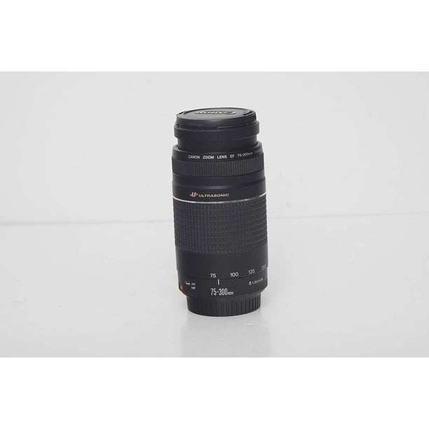 Canon EF 75-300mm f/4-5.6 III Telephoto Zoom Lens - Walmart.ca