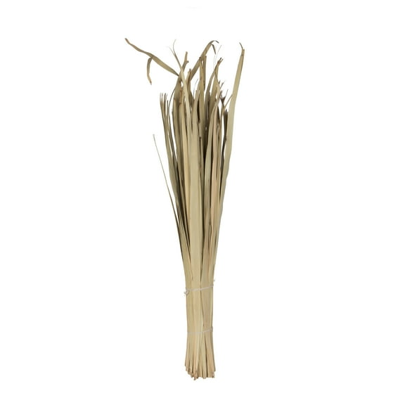 Vickerman Natural Botanicals 40" Sun Palm Leaf, Natural Clean. Includes 100 Pieces per Pack