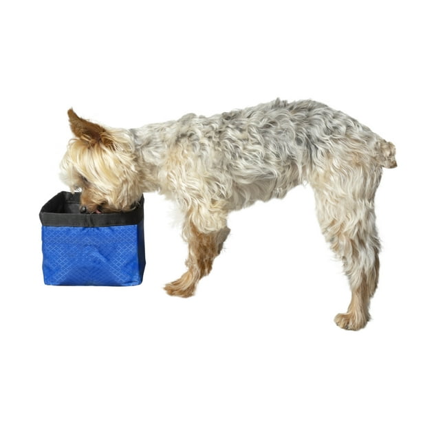 Premier Pet Travel Bowl Collapsible Dog Bowl with 50 oz. Capacity for