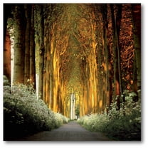 Courtside Market Golden Forrest Gallery-Wrapped Canvas Wall Art, 16x16