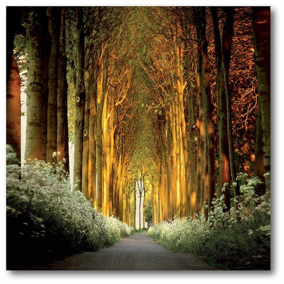 Courtside Market Golden Forrest Gallery-Wrapped Canvas Wall Art, 16x16
