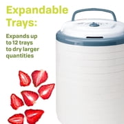NESCO 5-Tray Snackmaster Pro Food Dehydrator with Jerky Spice, 600W Professional Food Dehumidifie, Includes Jerky Spice & Cure Packs, Fruit Roll Sheets for Meat, Fruit & Vegetables