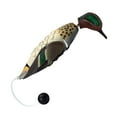 thumbnail image 4 of Avery EZ Bird Green Wing Teal Dog Training Dummy, 4 of 4