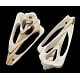 Shell Pendants White 40~52x20~25x7mm Hole: 1mm about 45~50pcs/500g