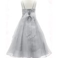thumbnail image 4 of BNY Corner A-Line Organza Long Dress Silver 10 HC1251, 4 of 5