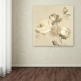 thumbnail image 3 of Trademark Fine Art 'Rose Blossoms Crop' Canvas Art by Wild Apple Portfolio, 3 of 3