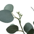 thumbnail image 6 of (2 pack) Mainstays Artificial Green Round Leaf Eucalyptus Stem, 34in Tall Floral Picks, 6 of 11