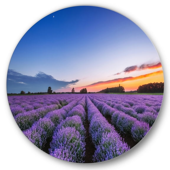 Designart 'Dramatic Clouds and Sunrise Over Lavender Field I' Farmhouse Circle Metal Wall Art 36x36 - Disc of 36