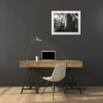 thumbnail image 3 of Talbot Frank, Christopher 14x12 White Modern Wood Framed Museum Art Print Titled - Canada, Vancouver This old-growth Douglas Fir, 3 of 4