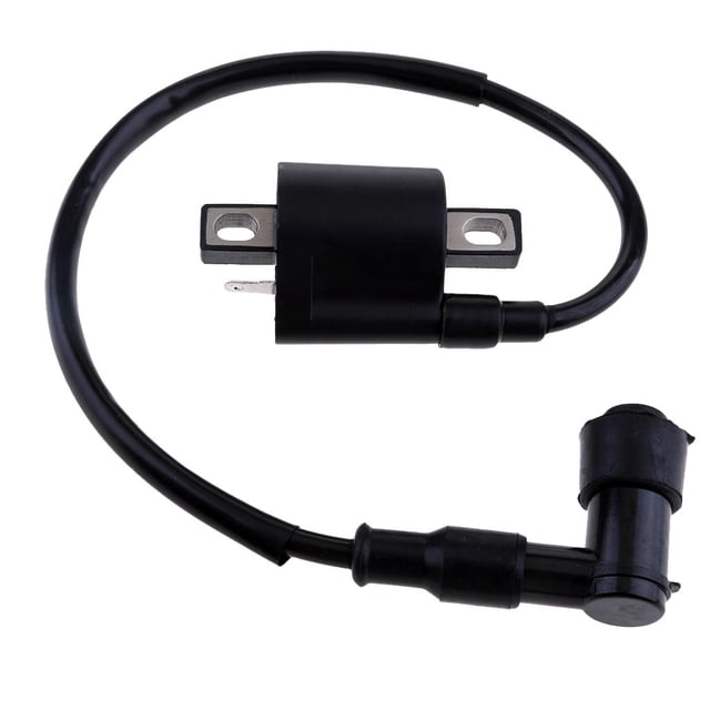 1 Pieza Bobina de Encendido Motores y Piezas de Encendido Ignición para Yamaha Virago 250 Xv250 1995-2007 2005 2006 Baoblaze Bobina de ignición de la motocicleta