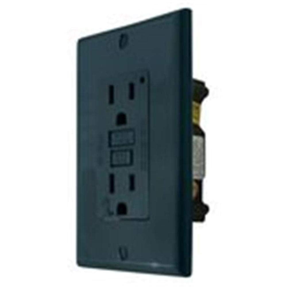 Valterra DG15VP GFI Receptacle Indoor/ Outdoor 15A /20A -120V AC Single