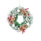 thumbnail image 2 of xihome Guirnalda de plstico verde de 76 cm (30 pulgadas) para decoracin de interiores y exteriores (puertas y paredes), ideal para fiestas navideñas, bodas y eventos. Resistente a la decoloracin., 2 of 6