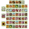 thumbnail image 1 of Juego de 50 paquetes de semillas de flores surtidas Semillas de flores a granel - 10 variedades disponibles, 1 of 1