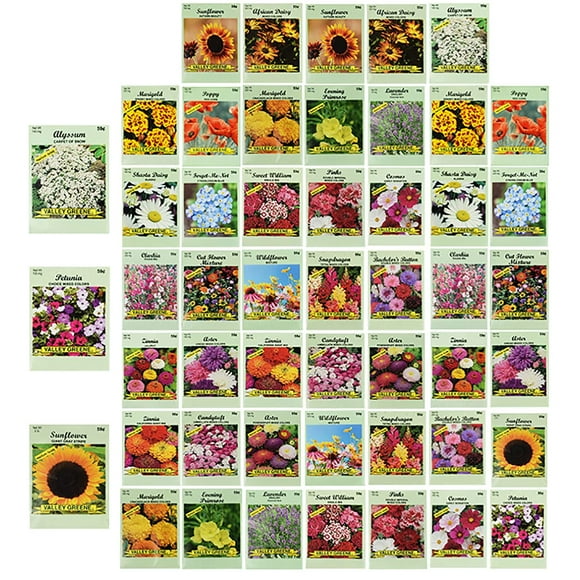 Ensemble de 50 Sachets de Graines de Fleurs Assorties en Vrac - 10 Variétés Disponibles