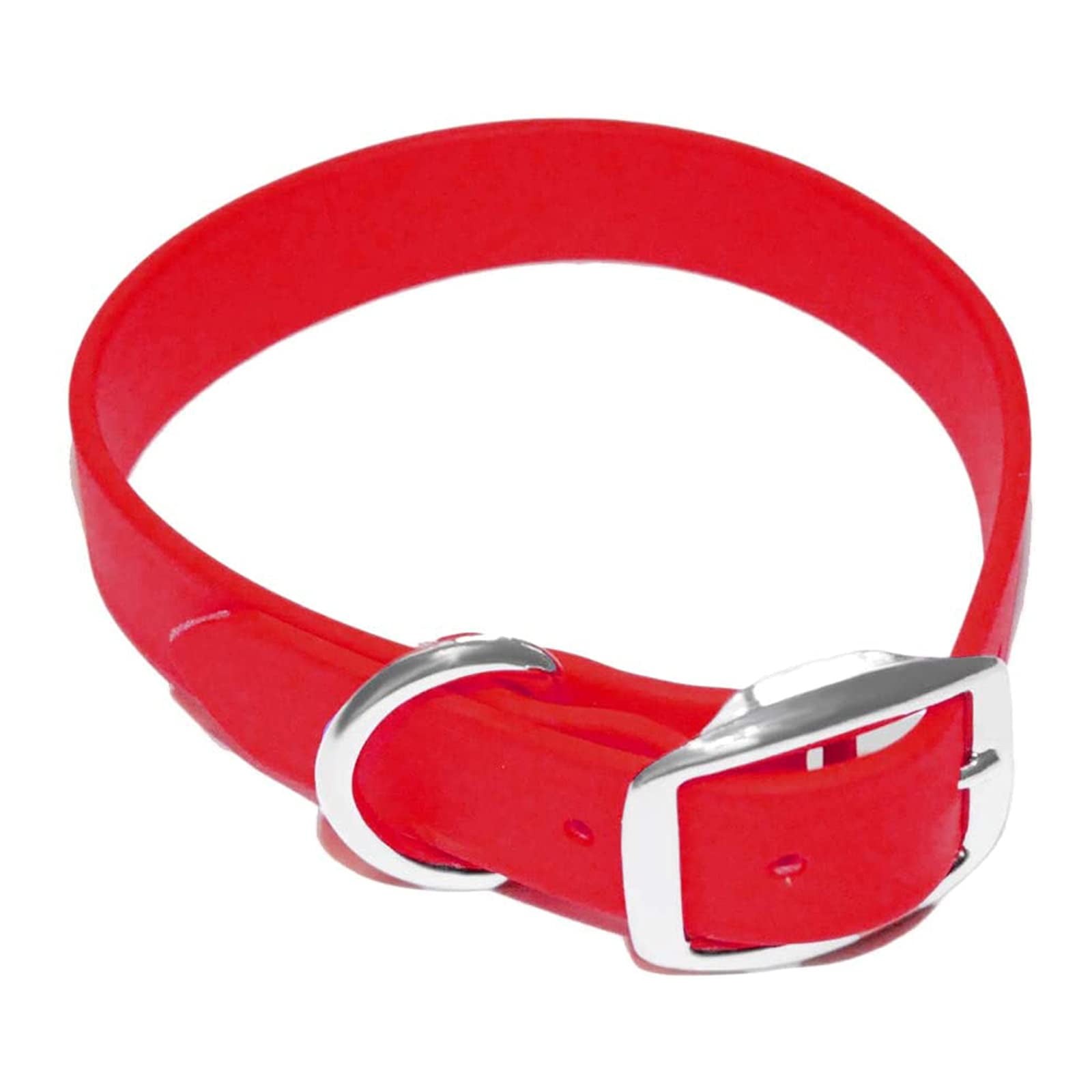 double buckle dog collar