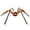 Orange, variant on 51" Giant Lighted Halloween Spider Decor - Scary Hairy LED Spider with Glowing Eyes for Yard, Porch, Haunted House & Indoor Party Halloween Decorations