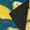 2 Black-2, variant on Women Crew Soft Moisture-wicking Socks Lemon Pattern Design Cotton Socks, One Size fit All