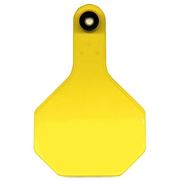 7713000 3 Star Blank Tag - Medium, Yellow