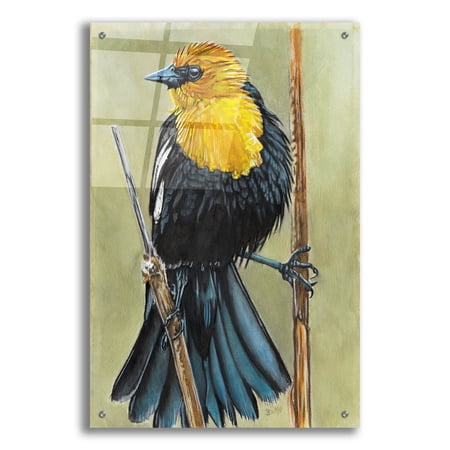 Epic Art Smug by Barbara Keith Acrylic Glass Wall Art 24 x36