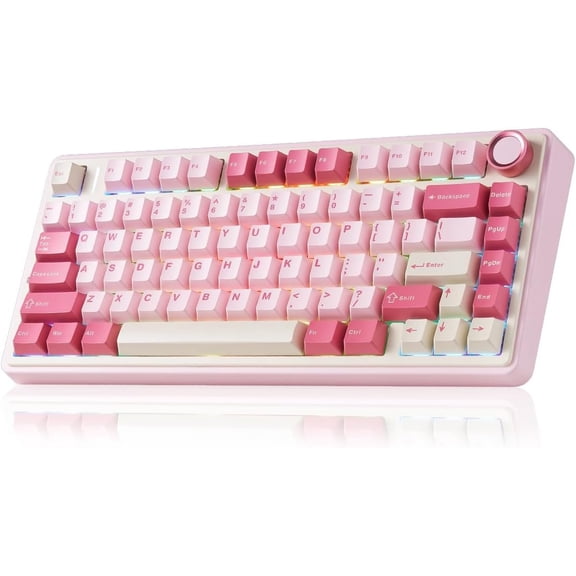 F75 Keyboard, 75% Gaming Keyboard Hot Swappable with Creamy Sound,/2.4GHz/USB-C,Custom RGB Mechanical Keyboard for PC Gamer -