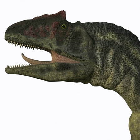 Allosaurus was a carnivorous theropod dinosaur in the Late Jurassic Period of North America