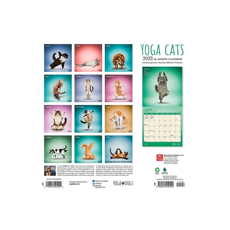 Cat Yoga Calendar