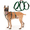 Green, variant on Escape Proof Dog Harness, No Pull Harness with Lift Handle, Adjustable Pet Vest with Front and Back Leash Clips for Medium Large Dogs Walking Hiking Training