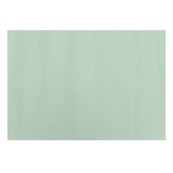 EeaseCA 1PC Photo Background Paper Pure Color Photography Backdrop Paper Double-sided Photography Wall Paper Shooting Props Wallpaper Special Photo Accessory for Studio Store Home (Green)
