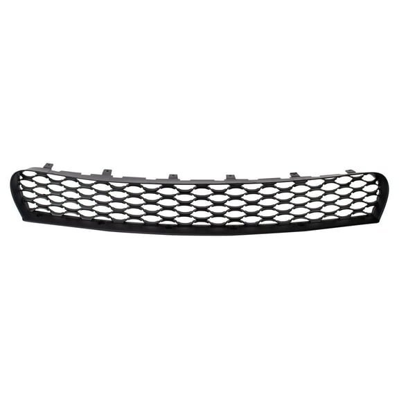 TRQ Front Lower Grille Fits 2019-2020 Dodge Charger BDA04450