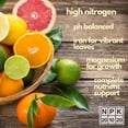 thumbnail image 3 of Citrus Fertilizer by Happy Nutrients - High Nitrogen Fruit Tree & Plant Fertilizer with Iron - Nutrient Support for Juicy, Flavorful Citrus, 3 of 6