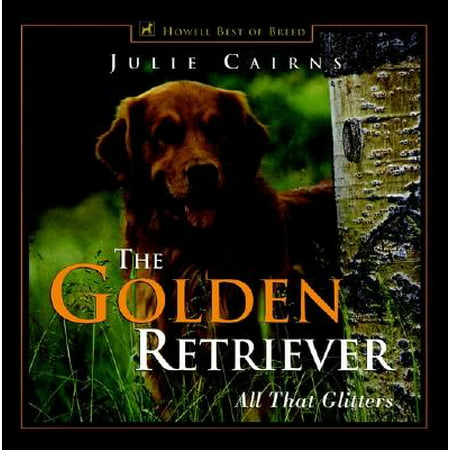 The Golden Retriever : All That Glitters