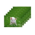 thumbnail image 4 of MKHERT Cute Piglet On Spring Green Grass Funny Animal Placemats Table Mats for Dining Room Kitchen Table Decoration 12x18 inch,Set of 6, 4 of 4