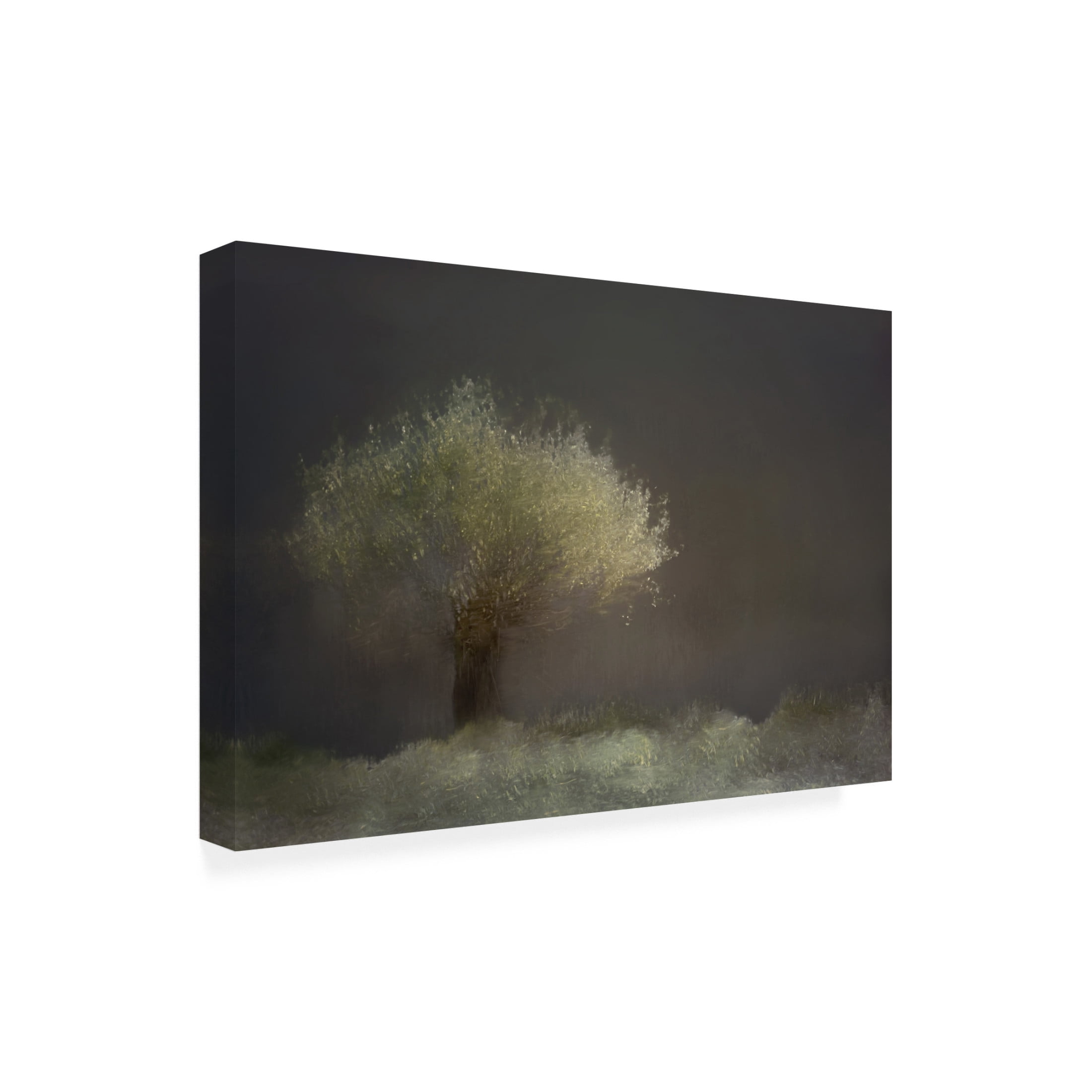 Canvas Wall Art - Gaille Gray 'Willow' Wall Art for Living Room, Bedroom, or Office Décor by Trademark Fine Art - 32 x 22 Inches