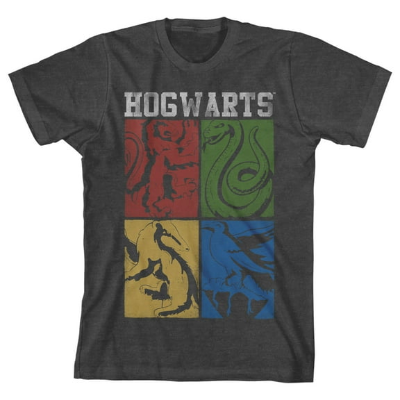 Harry Potter Hogwarts House Squares Boy's Charcoal Heather T-shirt-Medium