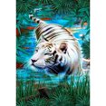 thumbnail image 1 of Diamante Pintura (DE4782) Tigre 5D DIY Cuadrado Rhinestone Arte Punto de Cruz 20X30cm FLhrweasw Nuevo, 1 of 1