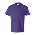 thumbnail image 1 of Hanes Aut?ntico SIN ETIQUETAS&reg; Camiseta de algod?n para ni?os hanes 5450, 1 of 1