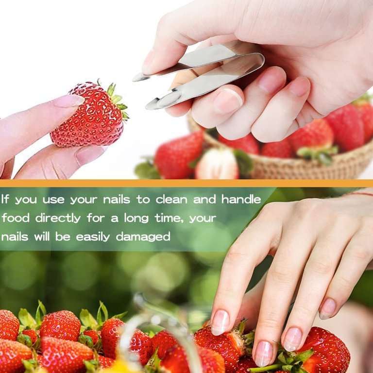 seeds for a garden Back to the Roots Beginner's Organic Vegetable Garden Seeds Variety Pack (10 Pack) main image 1